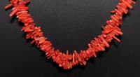 2 Layers Natural Coral Gemstone Necklace NP1315 photo 2
